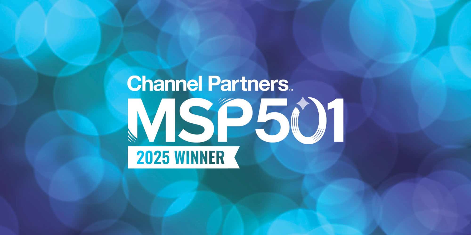 MSP 501 2025